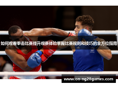 如何观看拳击比赛提升观赛体验掌握比赛规则和技巧的全方位指南