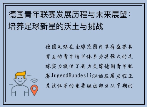 德国青年联赛发展历程与未来展望：培养足球新星的沃土与挑战