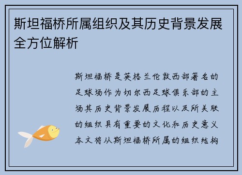 斯坦福桥所属组织及其历史背景发展全方位解析